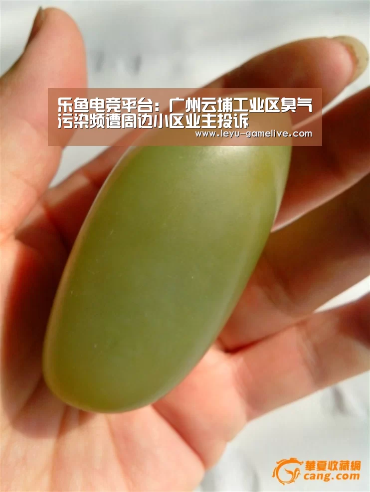 乐鱼电竞赛事