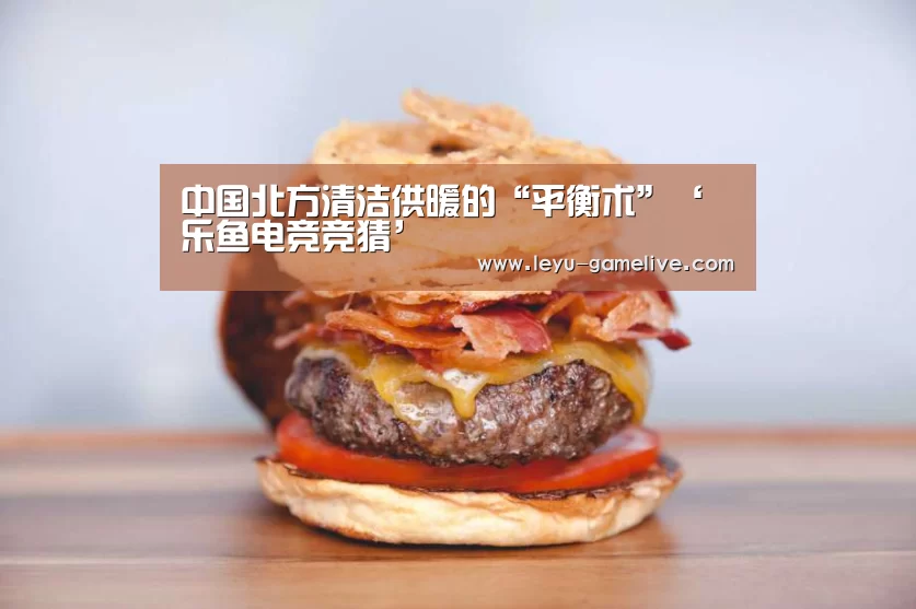 中国北方清洁供暖的“平衡术”‘乐鱼电竞竞猜’