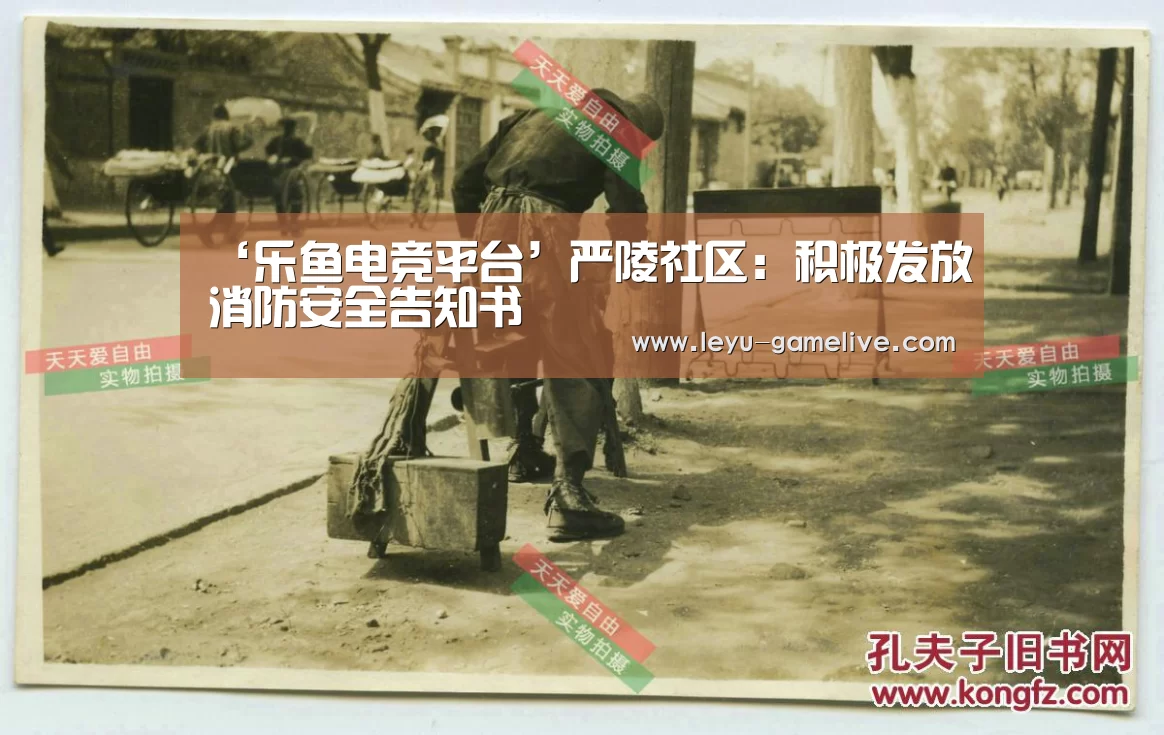 ‘乐鱼电竞平台’严陵社区:积极发放消防安全告知书(图1) 乐鱼电竞赛事